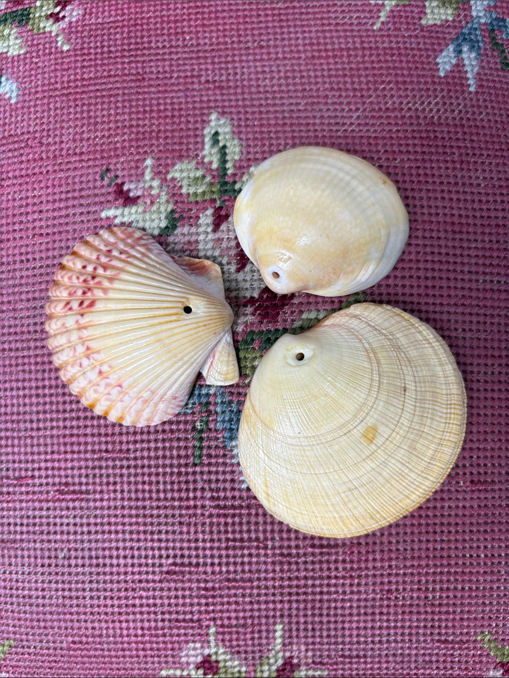 Set of 3 Natural Shell Pendants
